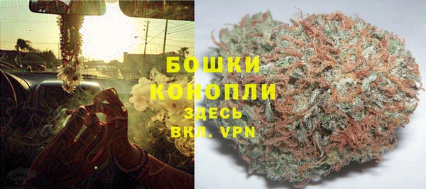ECSTASY Пересвет