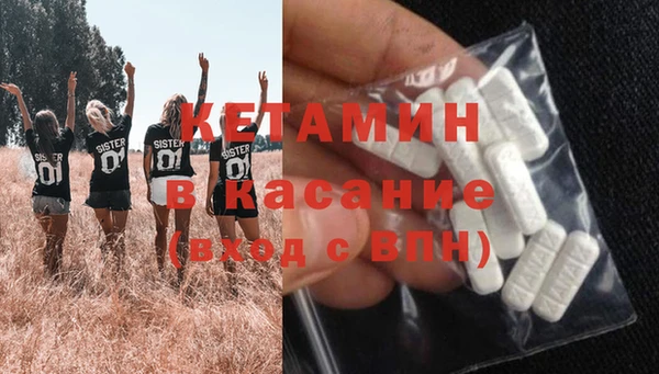 прущие грибы Абинск