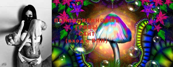прущие грибы Абинск