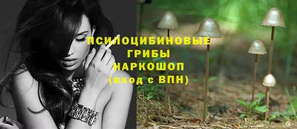 mix Абаза