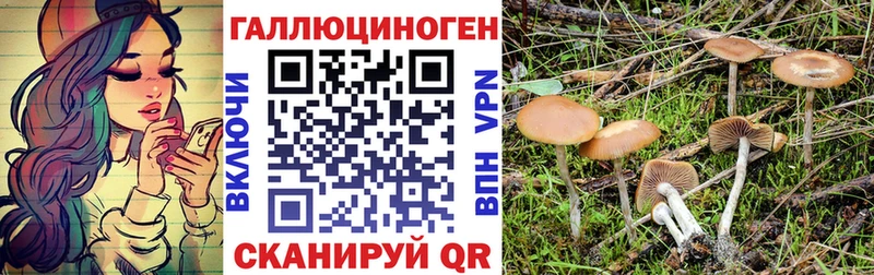 Галлюциногенные грибы мицелий мега ТОР Задонск