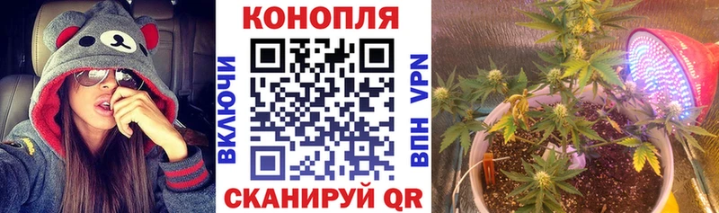Бошки Шишки OG Kush  Задонск 